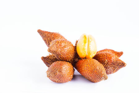 Salak Palm isolated on white background.の写真素材