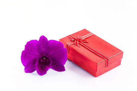 colorful gifts box and orchid on white.の写真素材