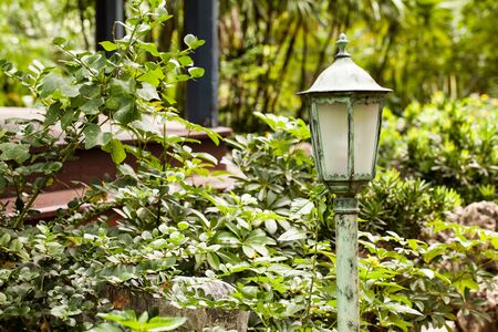 Old Vintage Lamp in garden.の写真素材