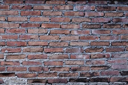 Old brick wall in a background.