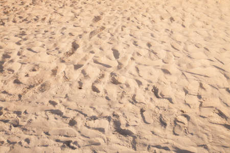 Sand pattern of a beach in the summer .の写真素材