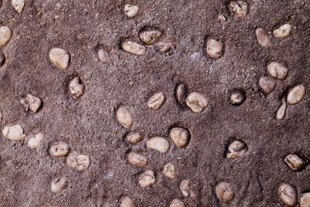texture of Cement and stone wall background.