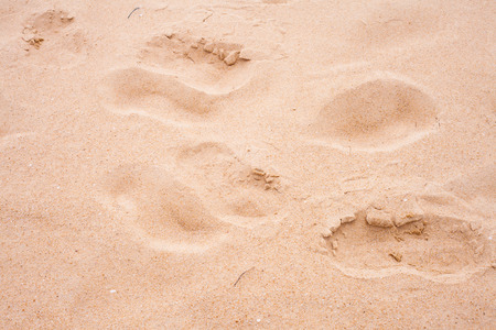 Sand beach pattern, interesting abstract texture.