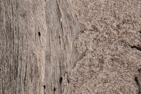 texture of old wood wall background.の写真素材