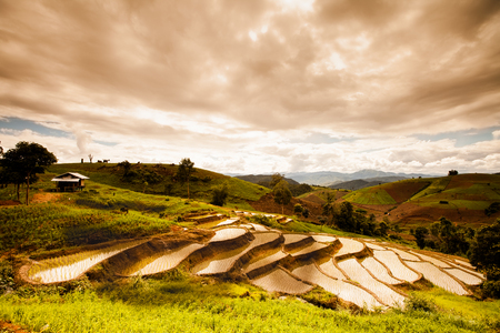 Rice fields on terraced in north Thailand, Mae jam, Chiang Mai, Thailand.の写真素材