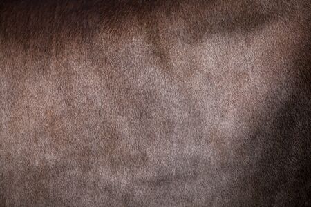 Natural brown leather texture.