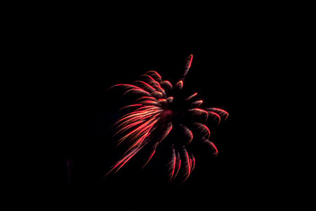 Firework on the black sky background.の写真素材