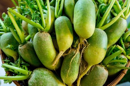 fresh small garden radish in basket,basket of small garden radish.の写真素材