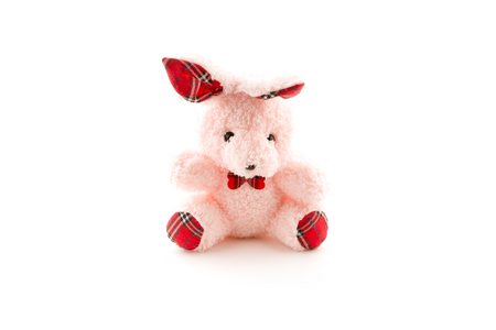 Pink bear doll on white background.の写真素材