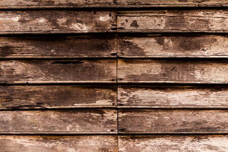wood texture.の写真素材