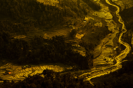 rice fields on terraced in north India, Sikkim.の写真素材