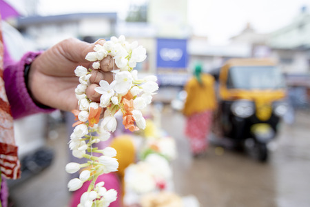 explorer india flower and tuk tuk india.の写真素材
