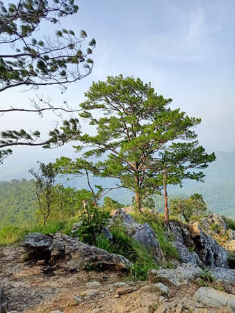 Nice view of landscape on submit Mountain