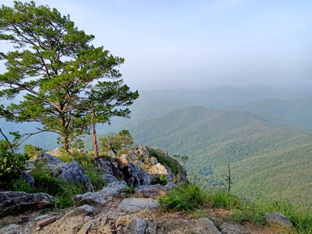 Nice view of landscape on submit Mountainの写真素材