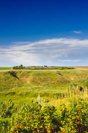 honey farm summer country viewの写真素材