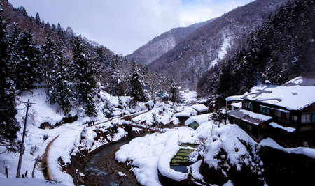 Snow Monkeys Soak in Hotsprings