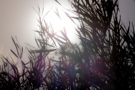 Yokohamaの写真素材