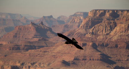 Grand Canyon National Park