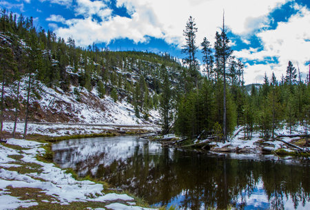 Yellowstone National Parkの写真素材