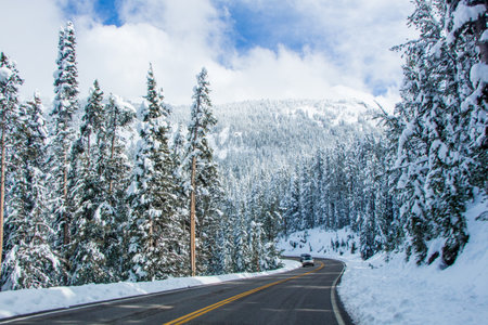 Yellowstone National Parkの写真素材