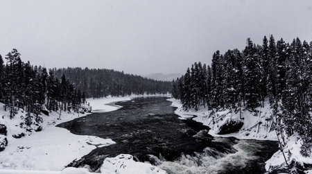 Yellowstone National Parkの写真素材