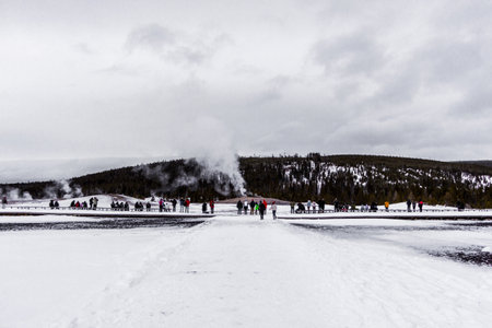 Yellowstone National Park