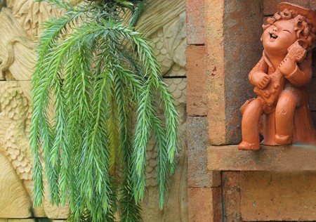 lycopodium kind in tropical forestsの写真素材