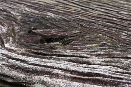 Background beautiful old woodの写真素材