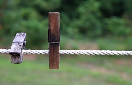 Bamboo clipsの写真素材