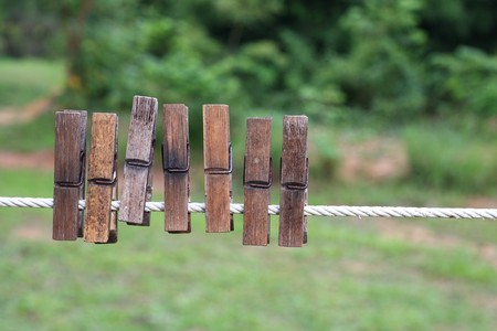 Bamboo clipsの写真素材