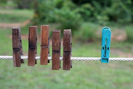 Bamboo clipsの写真素材