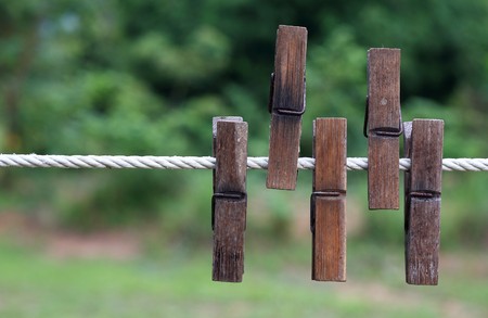 Bamboo clipsの写真素材