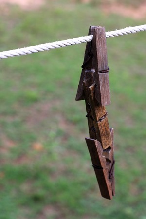Bamboo clipsの写真素材