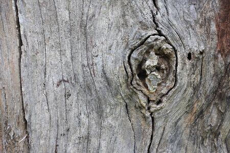Background beautiful old woodの写真素材