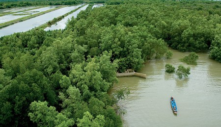 Wild man it along Thailand's major estuaries の写真素材