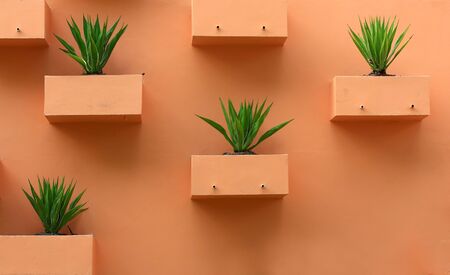 Plants verticalの写真素材