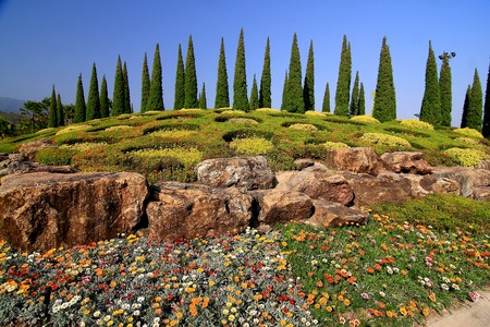 Gardenの写真素材