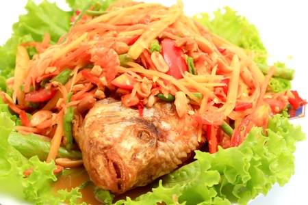 thai papaya saladの写真素材