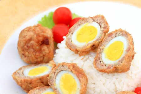 egg with tomato sauce and riceの写真素材