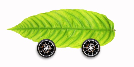 wheel and green leaf on white background isolatedの写真素材