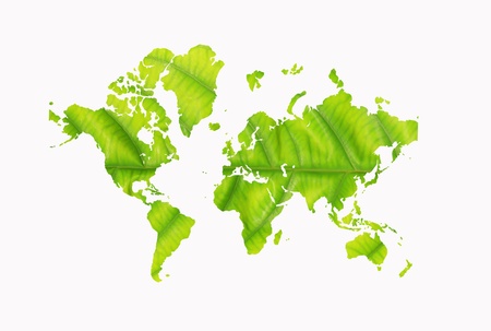world map with leaf textureの写真素材