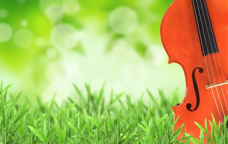 Cello Natural green blurred backgroundの写真素材