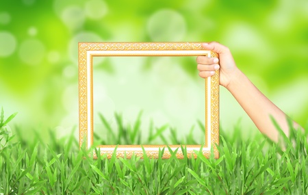 Natural green blurred background and framework.の写真素材