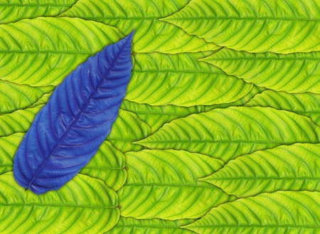 green leaves background
