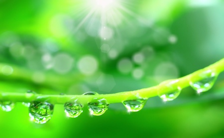 water drop shine in sun light water drop shine in sun light