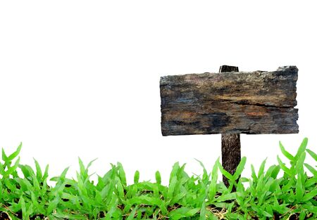 grass frame on white backgroundの写真素材