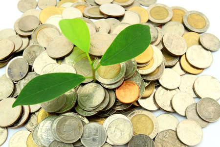 Tree growing from coinsの写真素材