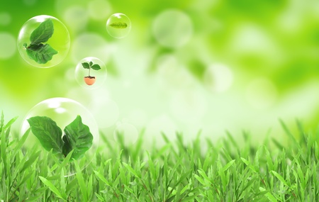 Abstract bubbles against Symbol of environmental protection Abstract bubbles against Symbol of environmental protection