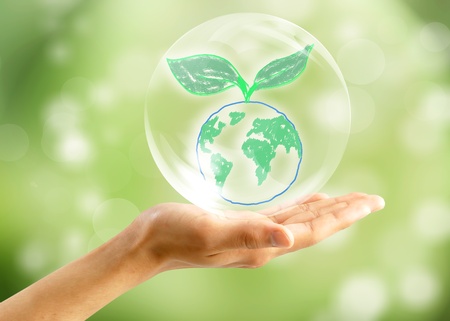 Soap bubbles on green natural background