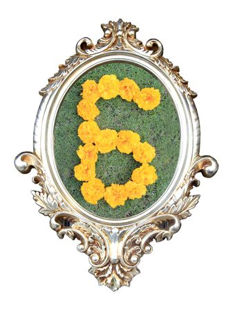 flowers number in a frame of on green grass backgroundの写真素材